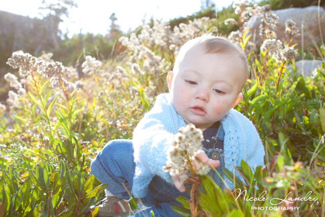 IMG_5824 copy